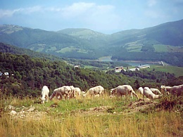 Sedlo Chorepa nad Klenovcem