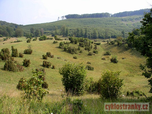 Slovensko a Maarsko 2003, 3. st