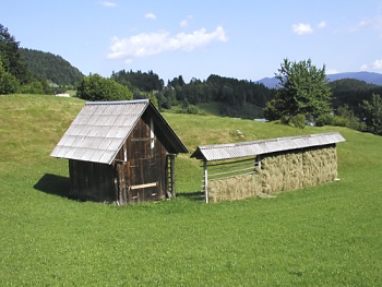 Sušák na seno se seníkem pod náhorní planinou Pokljuka