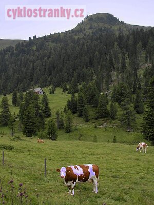 Vprava 2004  Rakousk Alpy