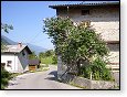 Ibiek u starho domu
