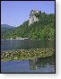 Bledsk hrad