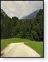 Asfalt skonil 