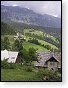 Podoleva