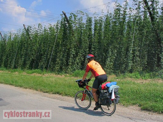 Vprava 2004  Nvrat do trska