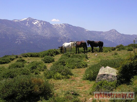 Korsika 2004, 3. st