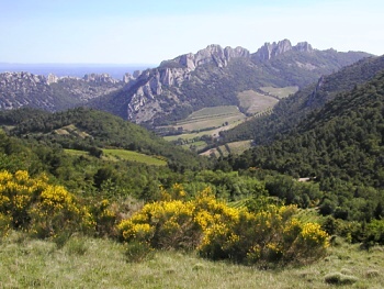 Kamenné krajky Dentelles de Montmirail ze sedla St-Amand