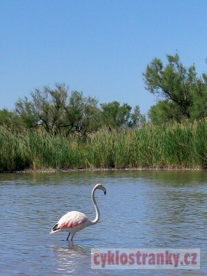 Provence 2005 – 2. část
