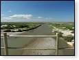 Mokřady v Camargue