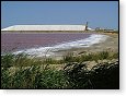 Saliny u Aigues-Mortes