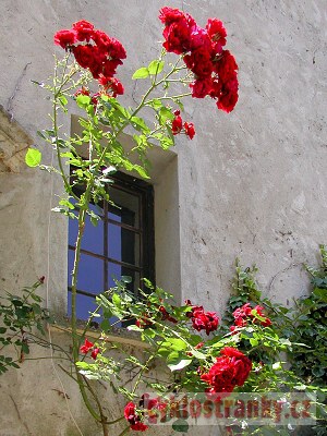 Provence 2005 – 4. část