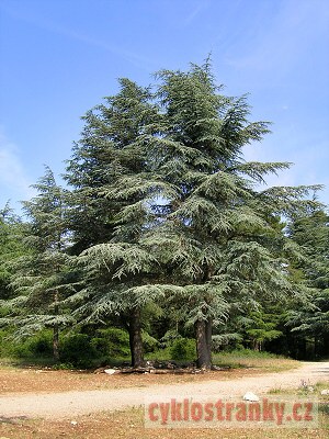 Provence 2005 – 4. část