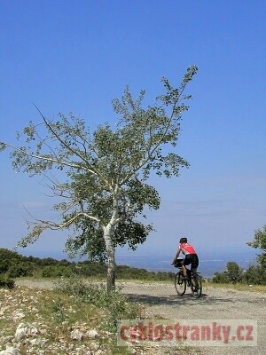 Provence 2005 – 4. část