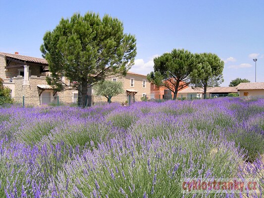 Provence 2005 – 4. část