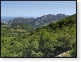 Dentelles de Montmirail