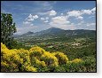 Mt-Ventoux od Suzette