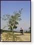 Route du Petit Luberon