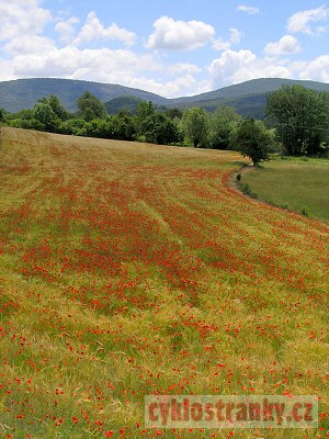Provence 2005 – 5. část