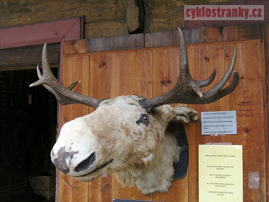 Norsko 2007 – 4. část
