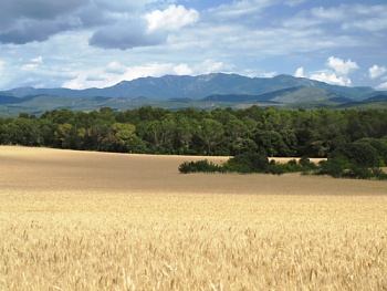 Výhled na Pyreneje z cesty do Figueres 