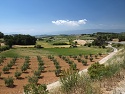 Jižní výhled od Serra del Tallat