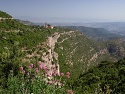 Výhled na klášter Monastir Sant Benet