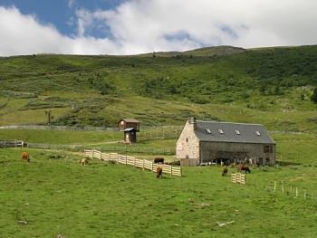 Pastviny v sedle Col de Prat de Bouc