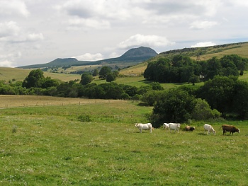 Náhorní planina nad městečkem Le Béage