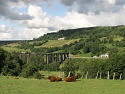 Železniční viadukt v údolí říčky Santorie