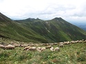 Pastviny na jižním svahu Puy de Sancy