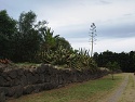 Zbytky hradeb antického města Giardini Naxos