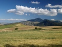 Jižní výhled na Monte Cammarata (1 578 m) při cestě z Lercara Friddi do Prizzi