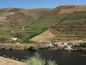 Údolí Rio Douro u obce Pocinho