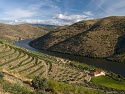 Vinice v oblasti Alto Douro