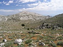 Náhorní planina na Supramonte a Punta sod Nídos (1 349 m)