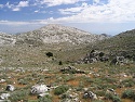 Náhorní planina na Supramonte a Punta sod Nídos (1 349 m)