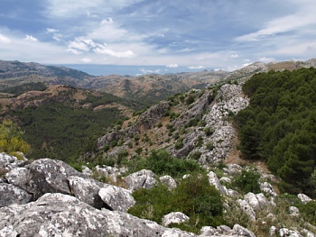 Přírodní park Sierra de las Nieves