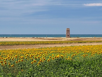 Zemědělská krajina na Costa de la Luz