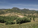 Krajina přírodního parku Sierra de Grazalema u města Ubrique