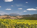 Výhled od západu k Sierra de Grazalema