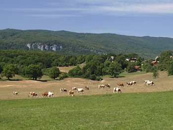 Pastviny na náhorní planině Vercors