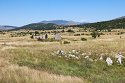 Planina Pašica polje