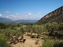 Krajina pod pohořím Monte Alburni