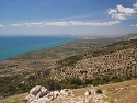 Výhled přes olivovníkové sady na jižním pobřeží Gargana